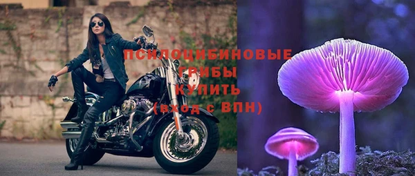 прущие крисы Верея